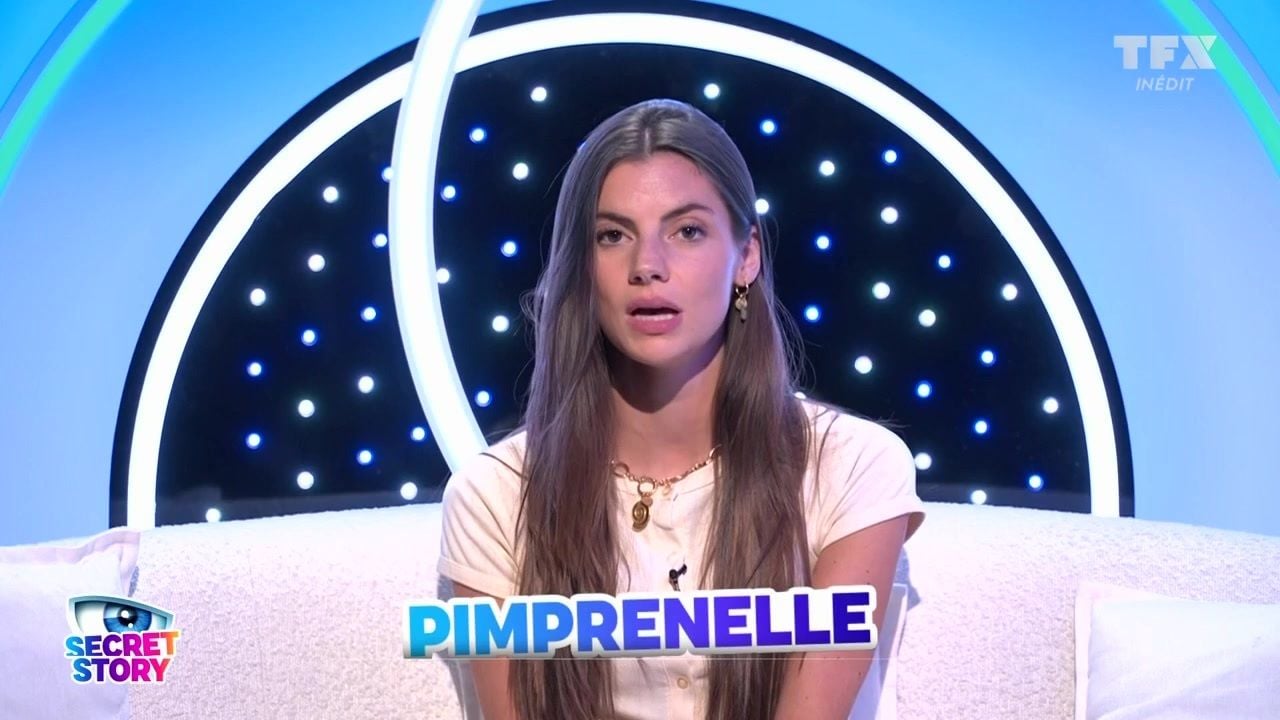 Secret Story : qui de Pimprenelle, Ethan, Mayer, Constance ou Adrien  sortira ce 17 juillet ? Nos pronostics - TV ACTU by AlloCiné