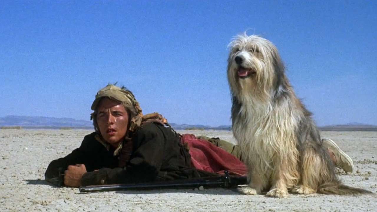 Un homme et son chien (Don Johnson et Tim McIntire)