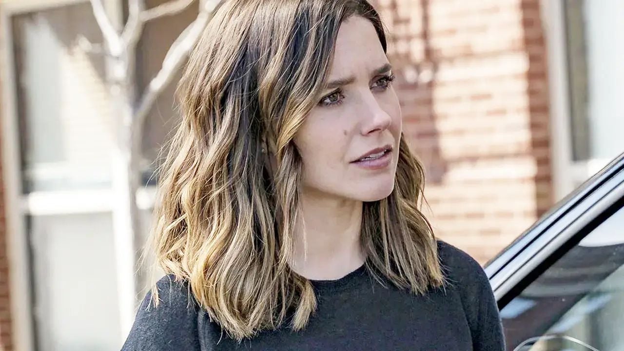 Chicago Police Department : au fait, pourquoi Sophia Bush a-t-elle quitté la série après seulement 4 saisons ?