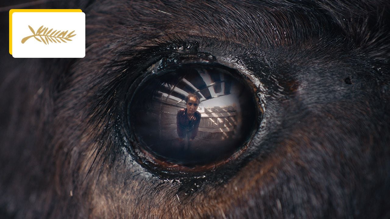 Cannes 2024: What are the 11 films selected for Critics’ Week?