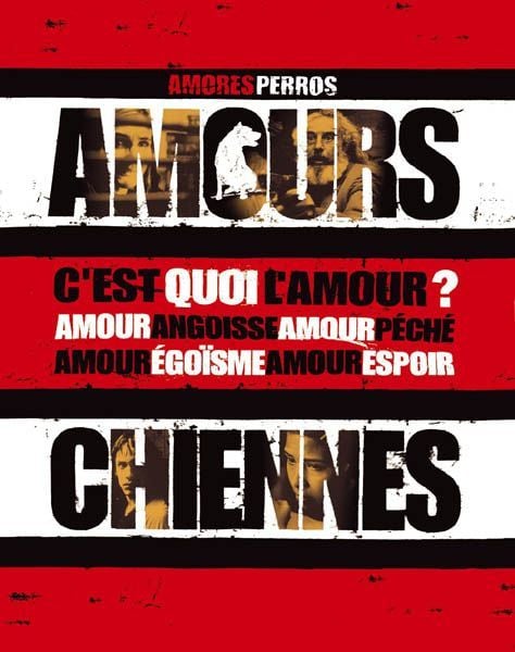 Amours chiennes streaming fr