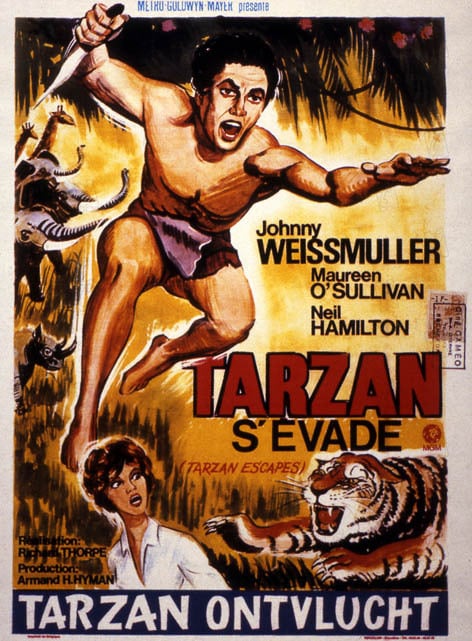 Tarzan s'évade streaming