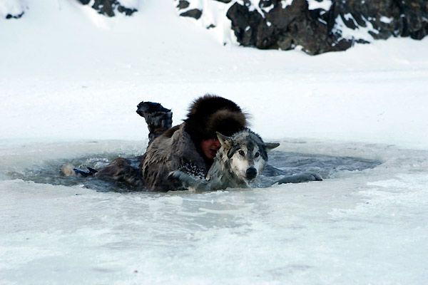 Les Loups Du Millénaire Série Photo du film Loup - Photo 20 sur 38 - AlloCiné