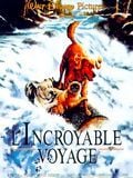 L'Incroyable Voyage streaming fr