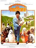 Au bonheur des chiens streaming gratuit