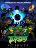 Turtles Forever streaming fr