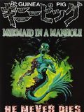 Guinea Pig : Mermaid in the Manhole streaming gratuit