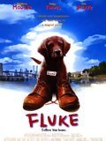 Fluke streaming fr