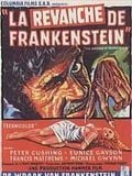 La Revanche de Frankenstein streaming fr