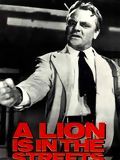 Un lion dans les rues streaming vf gratuit