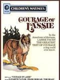 Le Courage de Lassie streaming fr