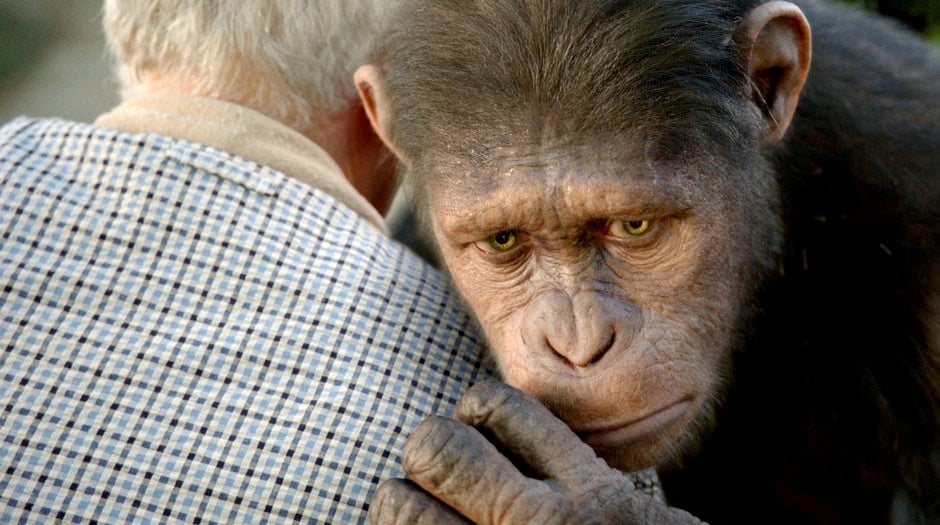 Photo du film La Planète des singes : les origines - Photo 10 sur 10