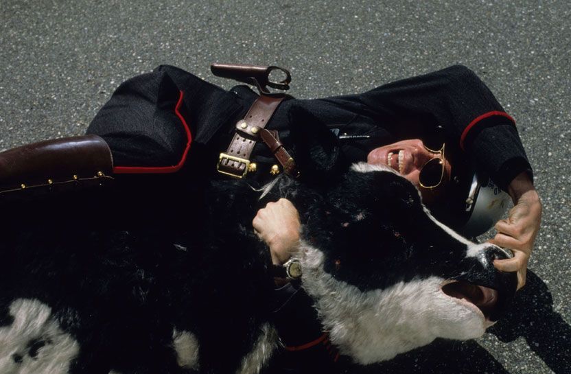 Photo du film Fous d'Irène Photo 9 sur 20 AlloCiné