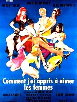 Comment j'ai appris à aimer les femmes streaming vf gratuit
