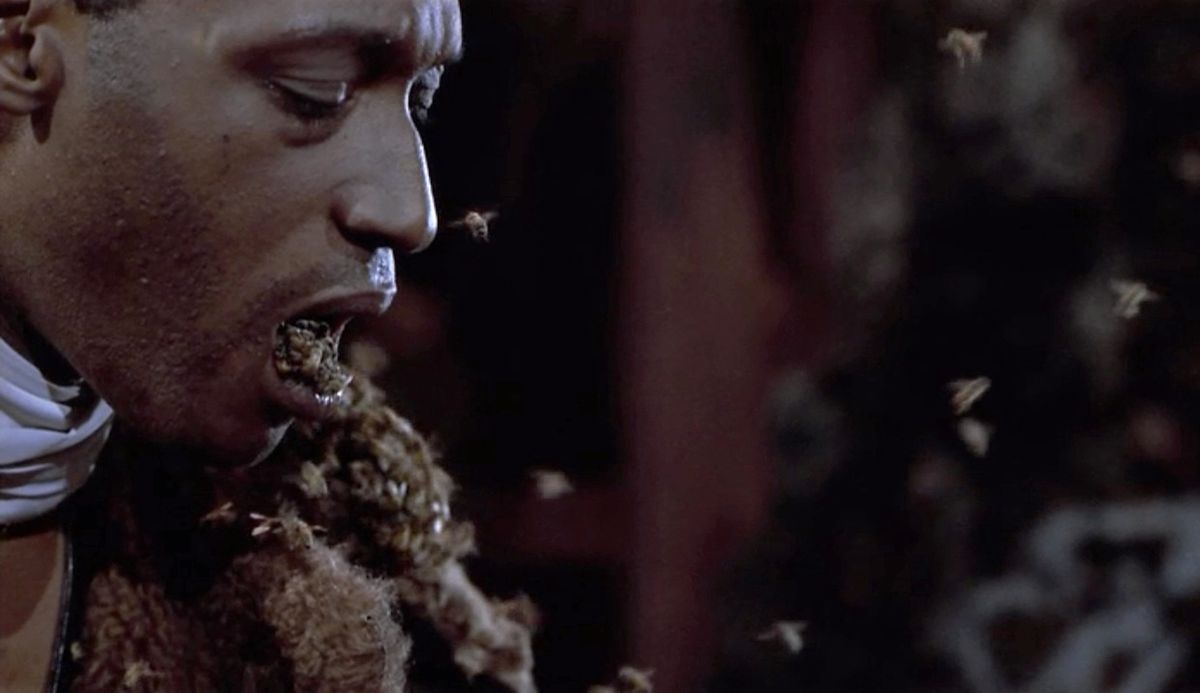 Photo du film Candyman - Photo 8 sur 11 - AlloCiné