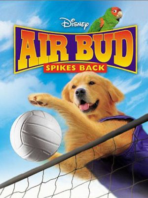 Airbud 5 : superstar streaming fr