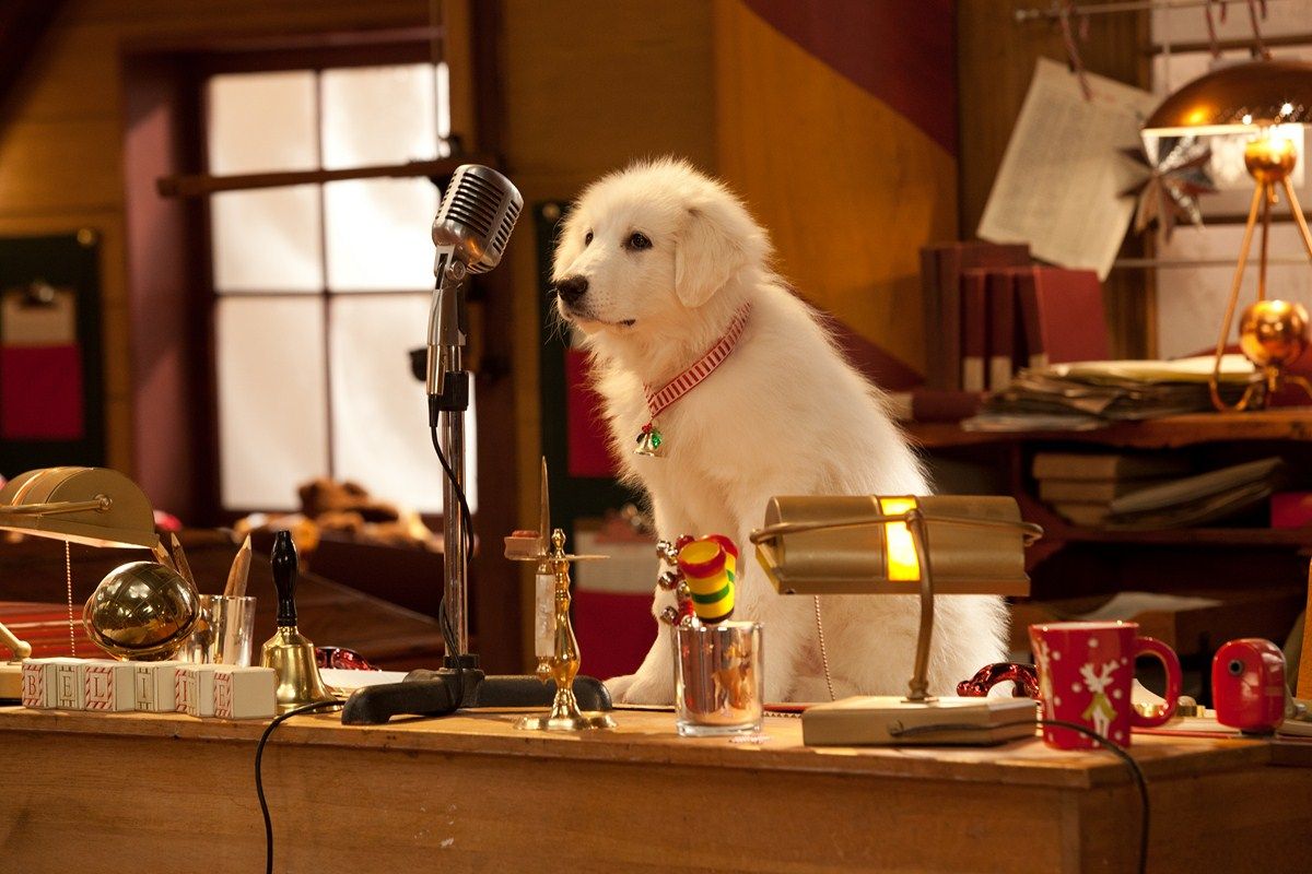 Les Chiots Noël La Relève Est Arrivée Photo du film Les Chiots Noël, la relève est arrivée - Photo 3 sur 11