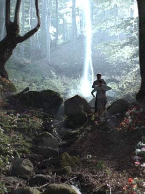 Les Secrets de la forêt noire (TV) streaming vf gratuit