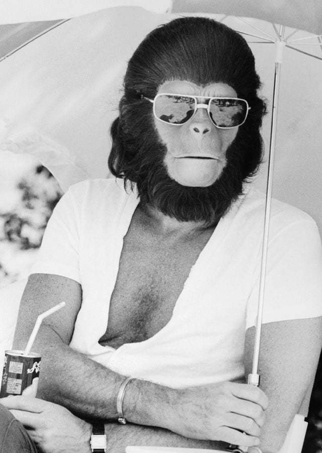 Roddy McDowall est Cornelius et César (19681974) La Planète des Singes 10 métamorphoses d