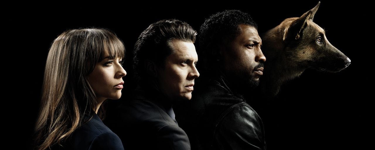 Grey's Anatomy Saison 17 Disney Plus France Pourquoi Angie Tribeca est la série la plus drôle du moment - AlloCiné