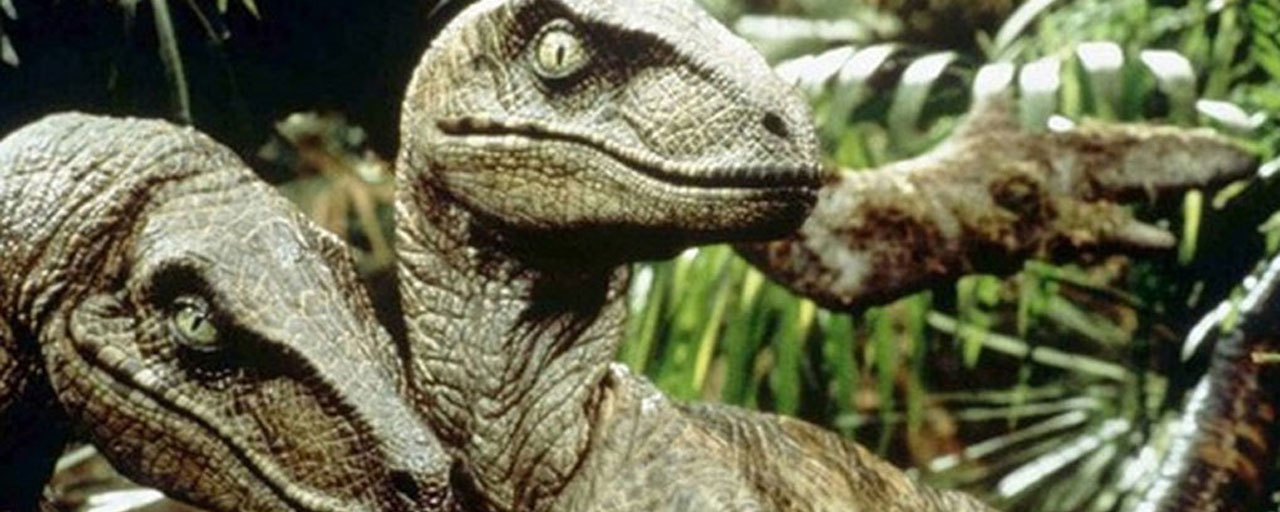 Jurassic World : 10 dinos incontournables de la saga - AlloCiné