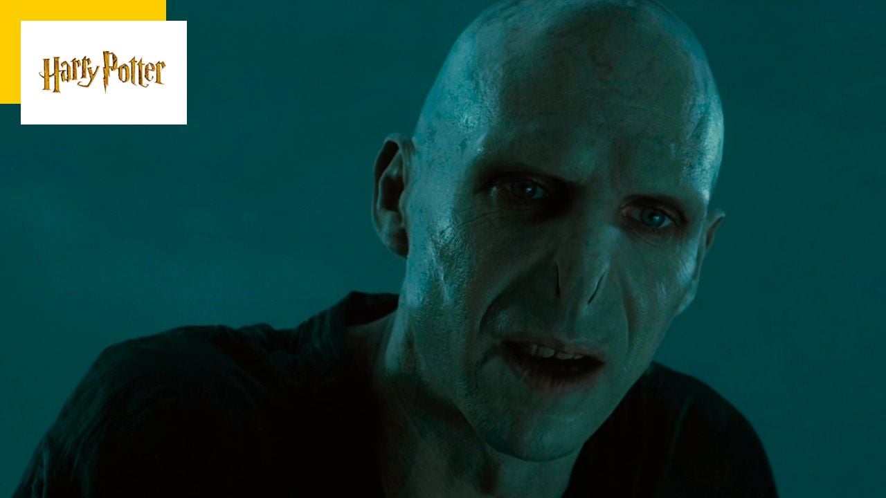 Harry Potter pourquoi Voldemort n