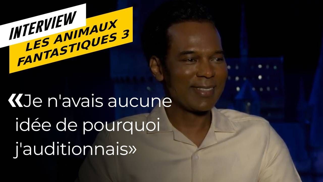 Frenchman in Harry Potter: William Nadilam tells the story of his casting and filming of fantastic beasts