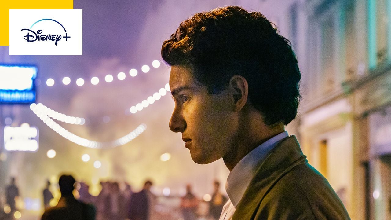 The best series of the year is French and it is on Disney +!