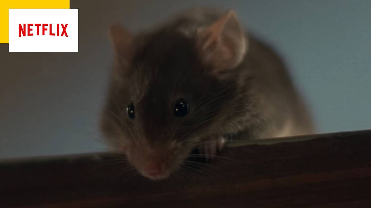 Netflix: This Mom I Missed a Plane With a Mouse is perfect for your kids