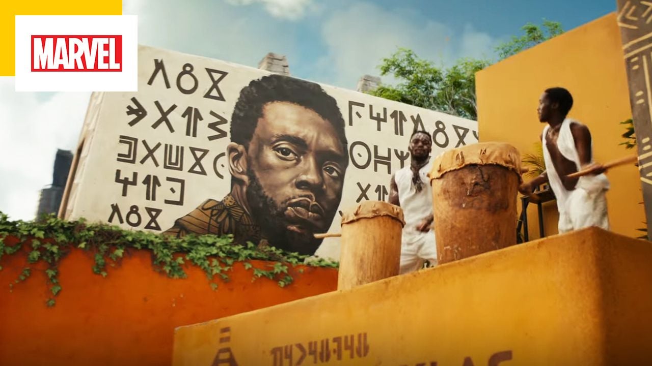 Who is the new Black Panther? Nothing will be known until the release of the Marvel sequel! Who is the new Black Panther? Nothing will be known until the release of the Marvel sequel!