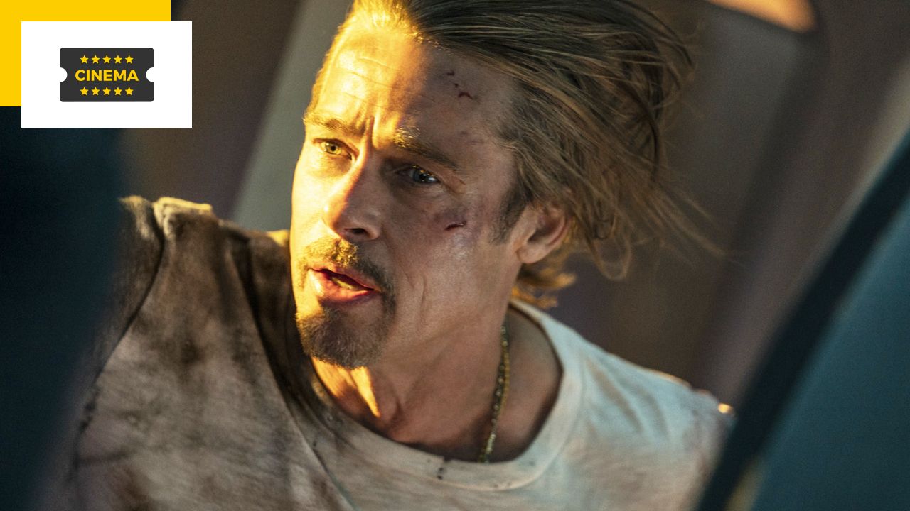 Locarno 2022: Brad Pitt and Sophie Marceau selected, Matt Dillon honored at the festival