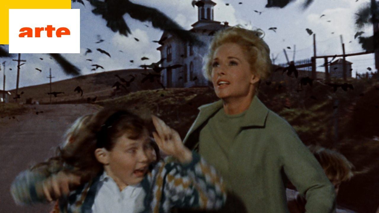 Birds on Arte: The Terrifying True Story That Inspired Hitchcock’s Film