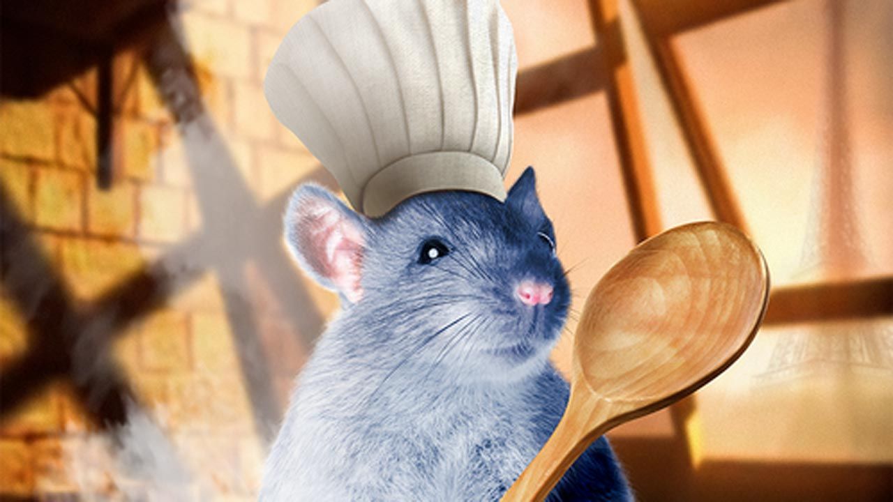 Disney animals in real life?  Here’s how they looked!