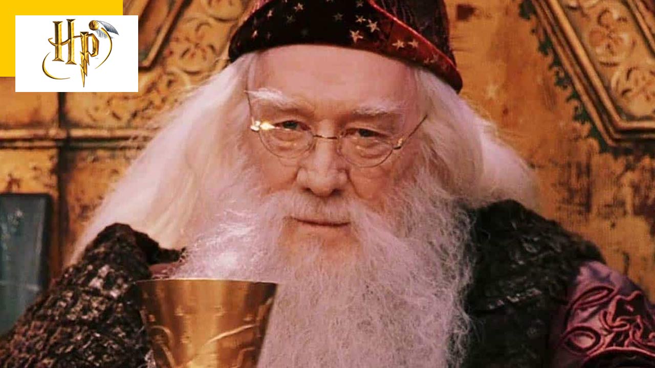 Harry Potter Vs Le Seigneur des Anneaux : cet acteur a hésité entre les deux sagas