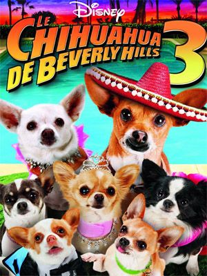 Le Chihuahua de Beverly Hills 3 : Viva La Fiesta ! streaming vf gratuit