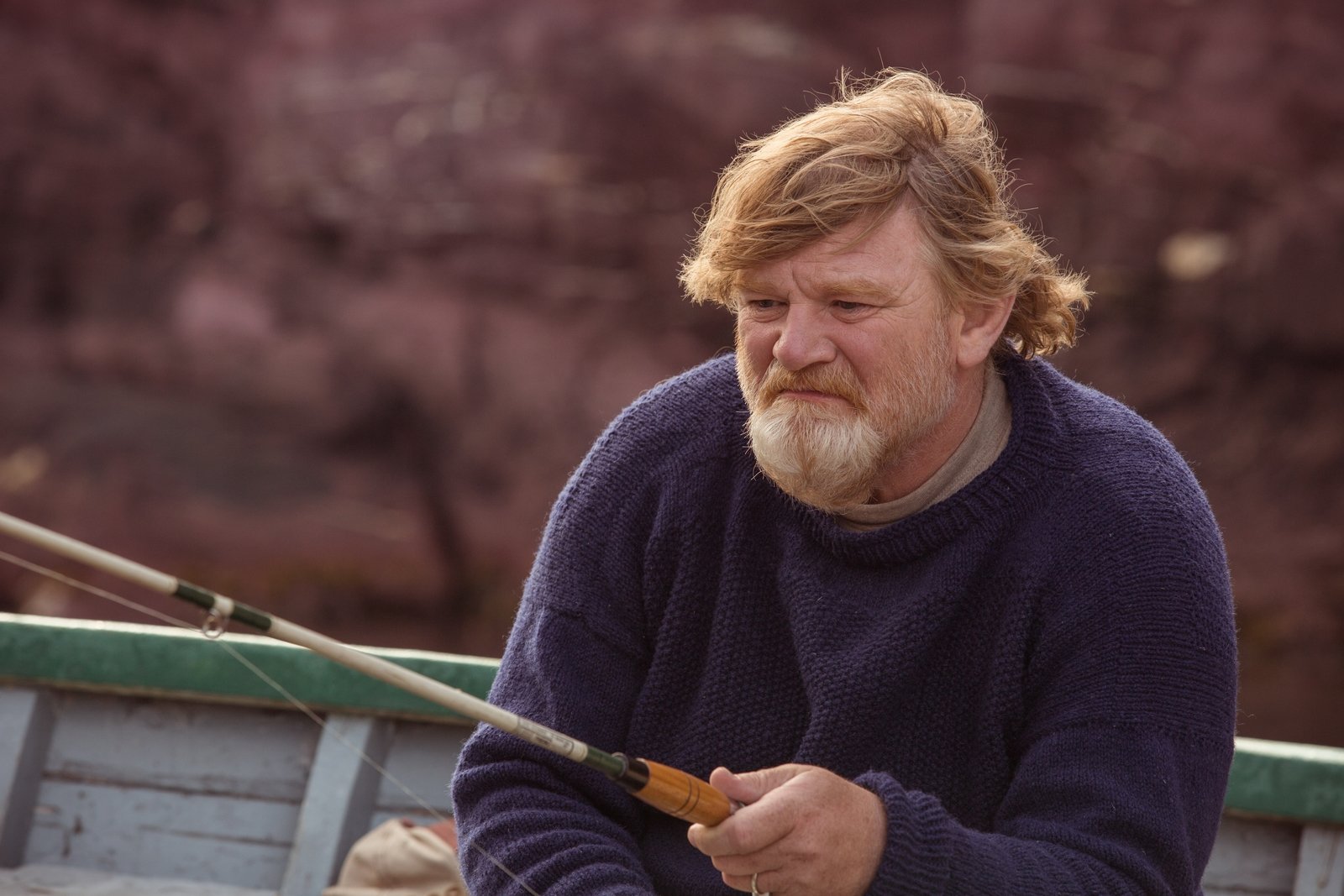 Brendan Gleeson wikipedia