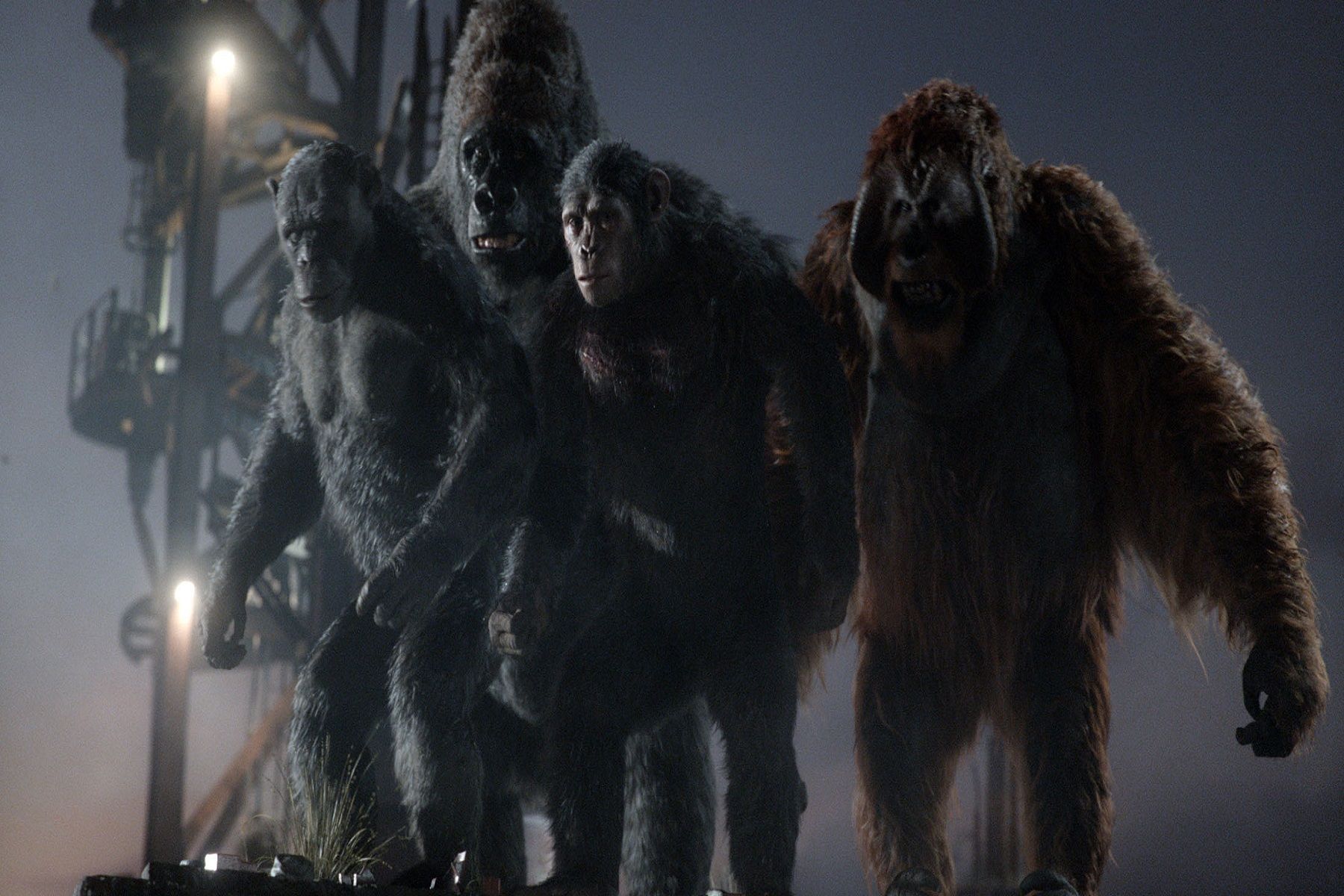 Photo du film La Planète des singes : l'affrontement - Photo 31 sur 64