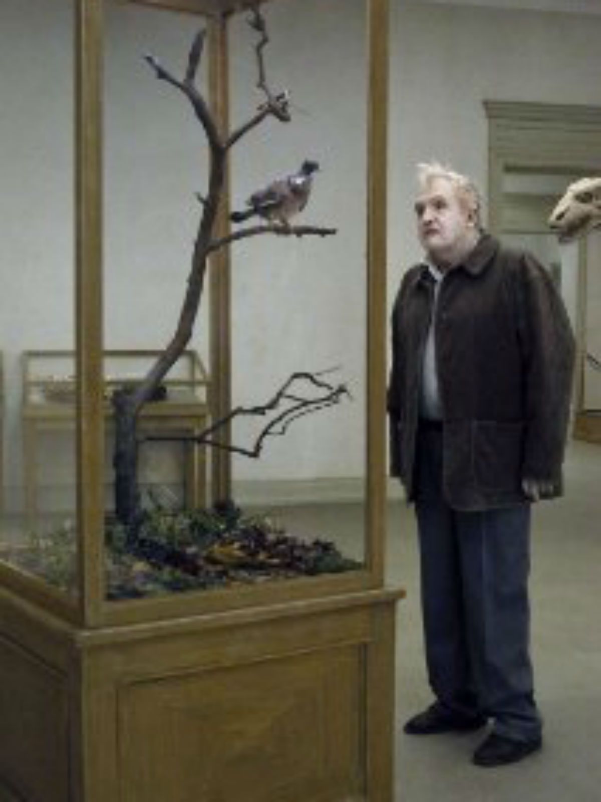 Un Pigeon Perche Sur Une Branche Philosophait Sur L Existence Affiche du film Un pigeon perché sur une branche philosophait sur l