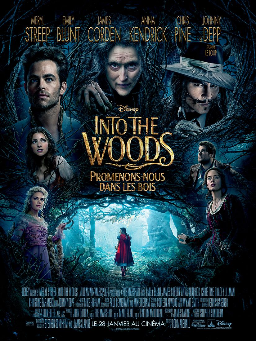 Into the Woods, Promenons-nous dans les bois streaming vf gratuit