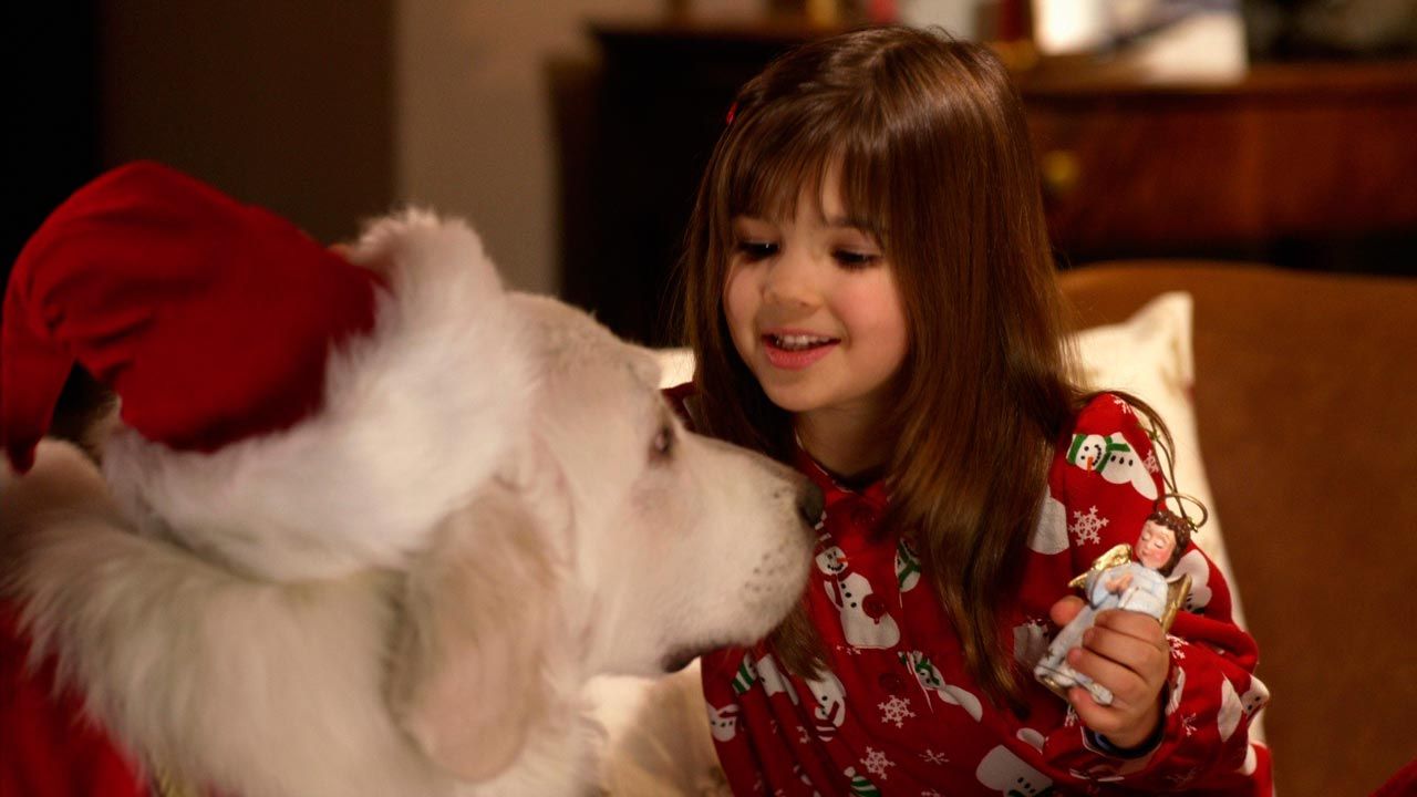 Photo du film La Mission de Chien Noël - Photo 2 sur 5 - AlloCiné
