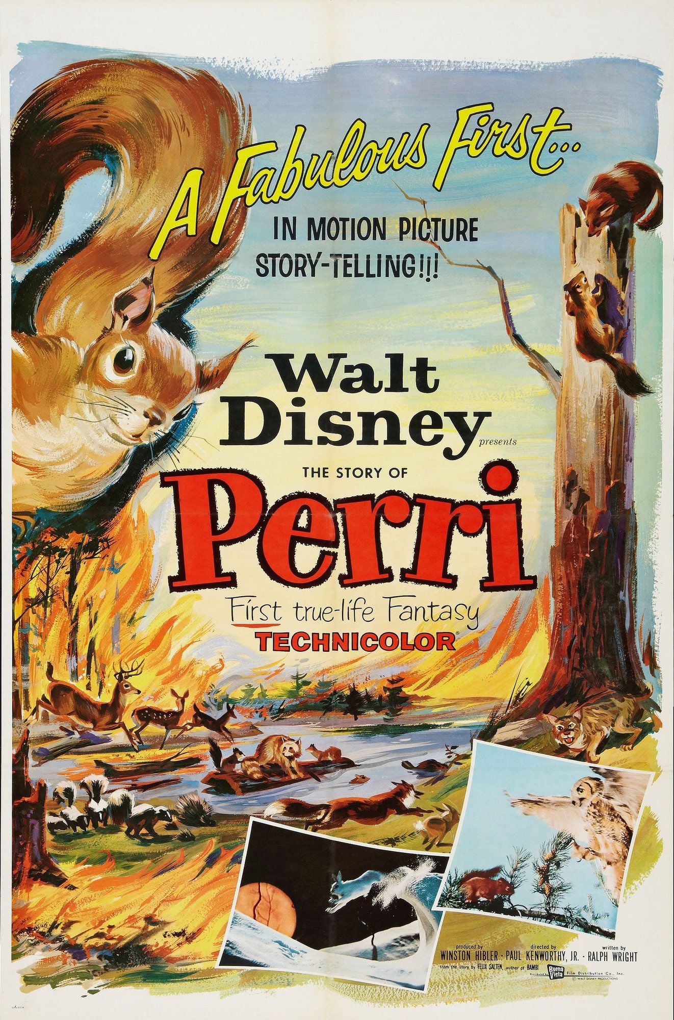 Perri streaming vf gratuit