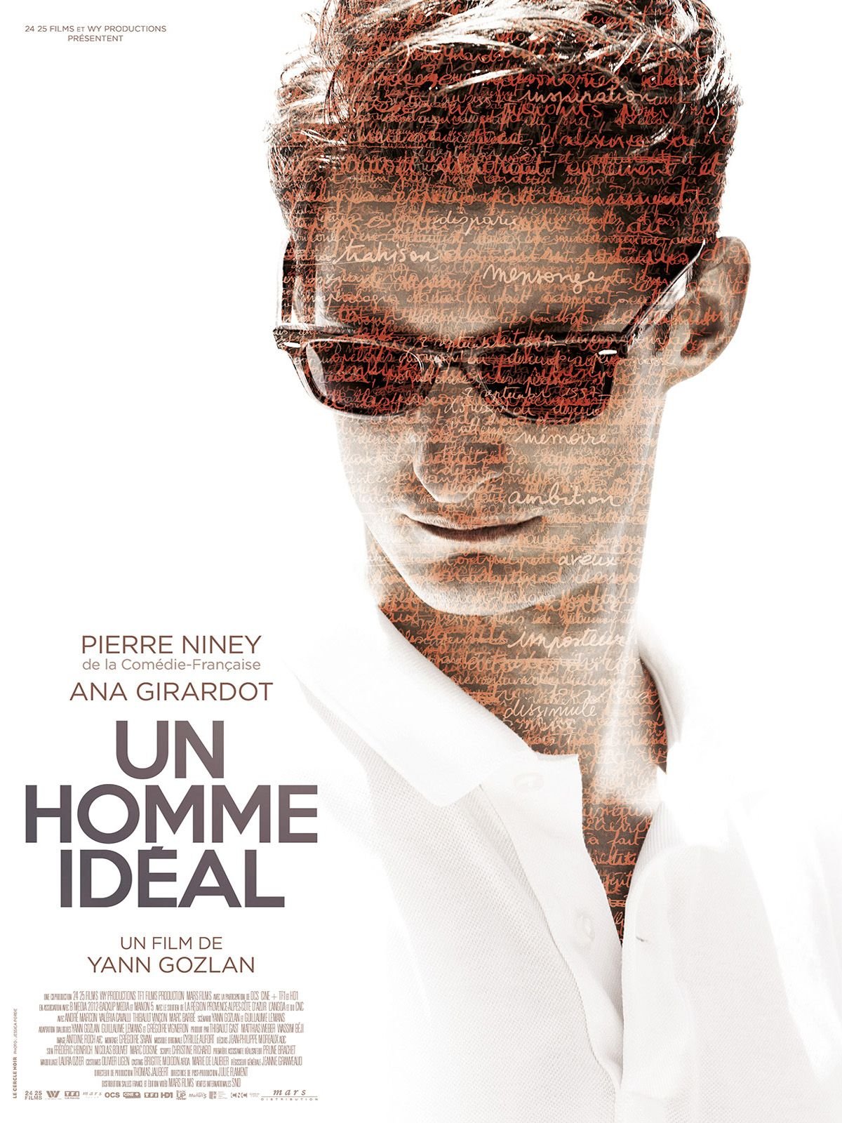 Un homme idéal streaming fr