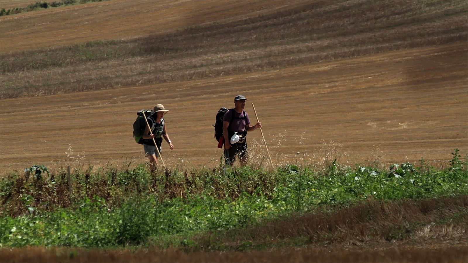 Compostelle Le Chemin De La Vie Streaming Photo du film Compostelle, le chemin de la vie - Photo 9 sur 15 - AlloCiné