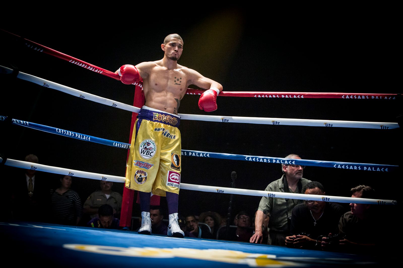 Photo du film La Rage au