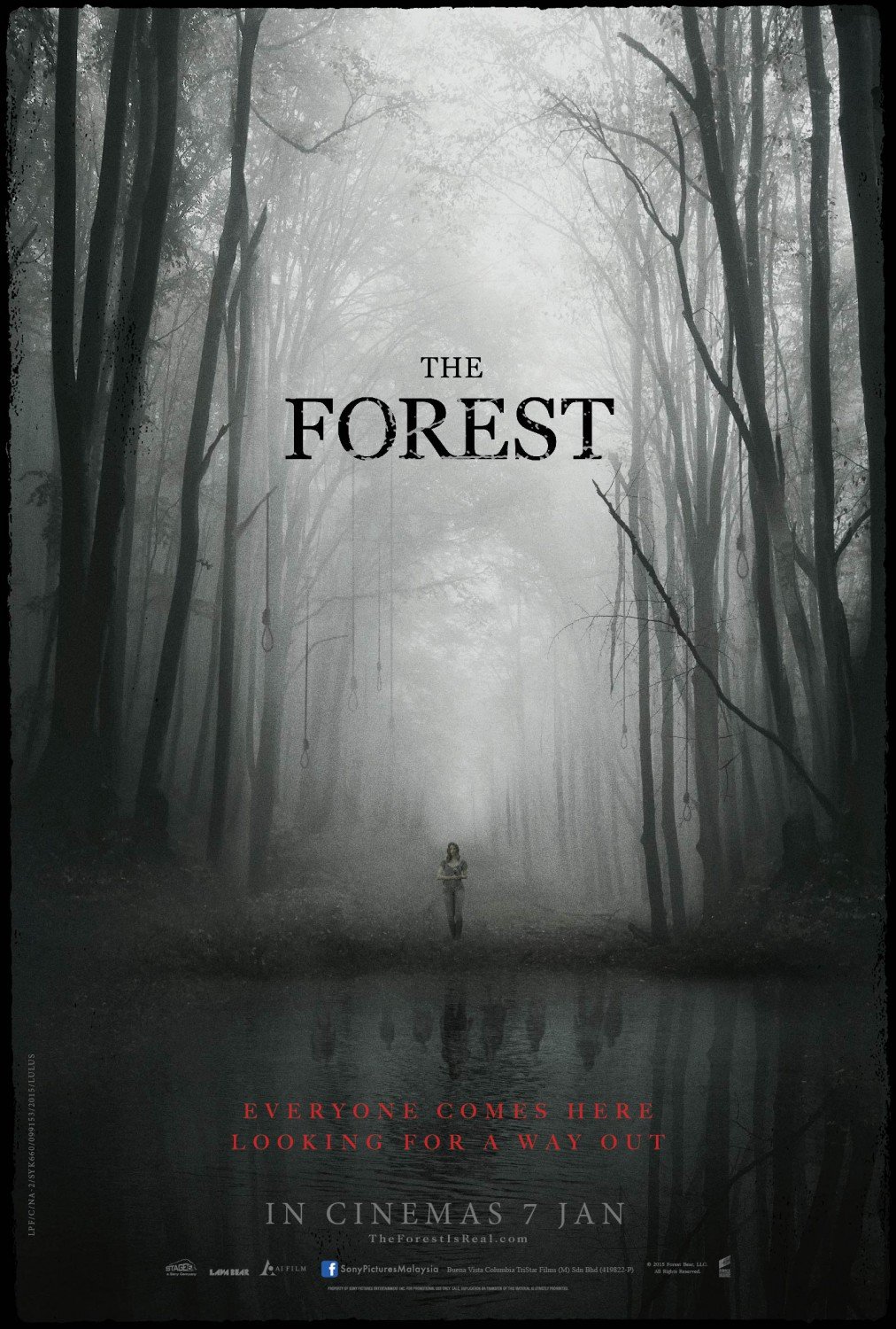 Affiche du film The Forest Photo 19 sur 27 AlloCiné