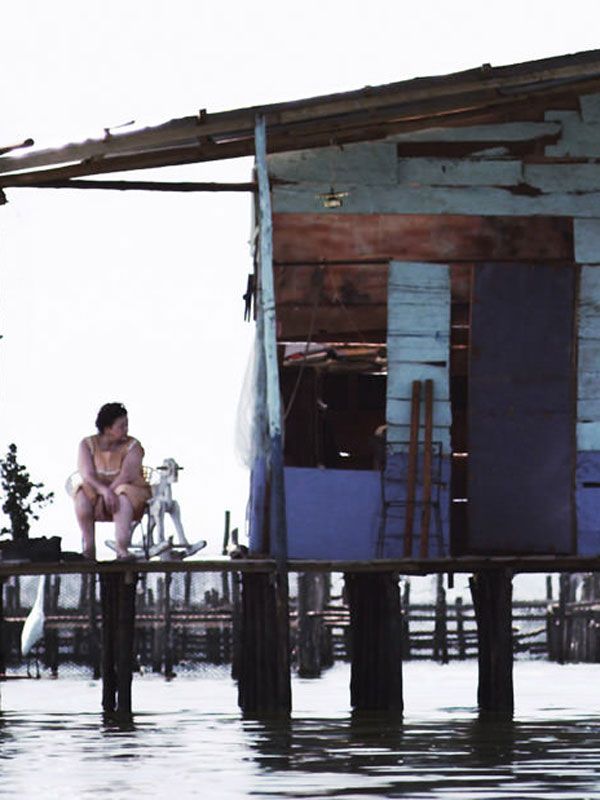 La ciénaga: entre el mar y la tierra streaming vf gratuit