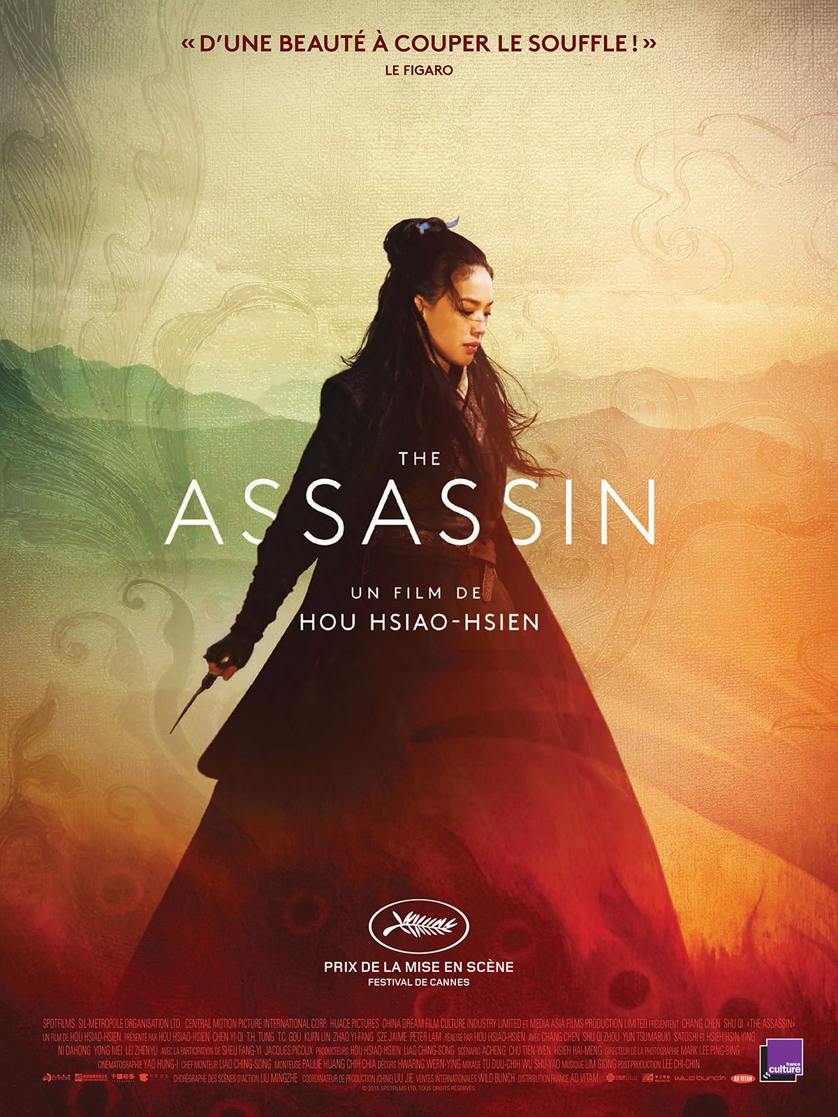 The Assassin streaming fr