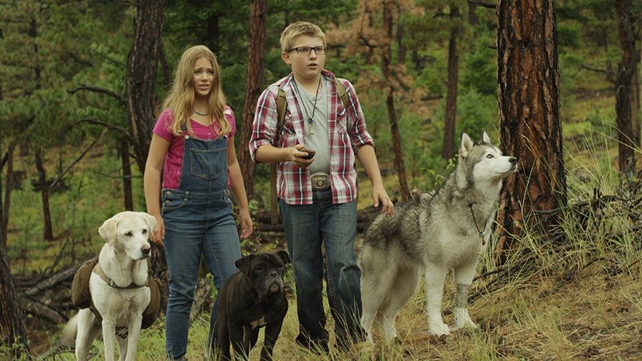 Photo du film Timber et la carte au trésor - Photo 6 sur 6 - AlloCiné