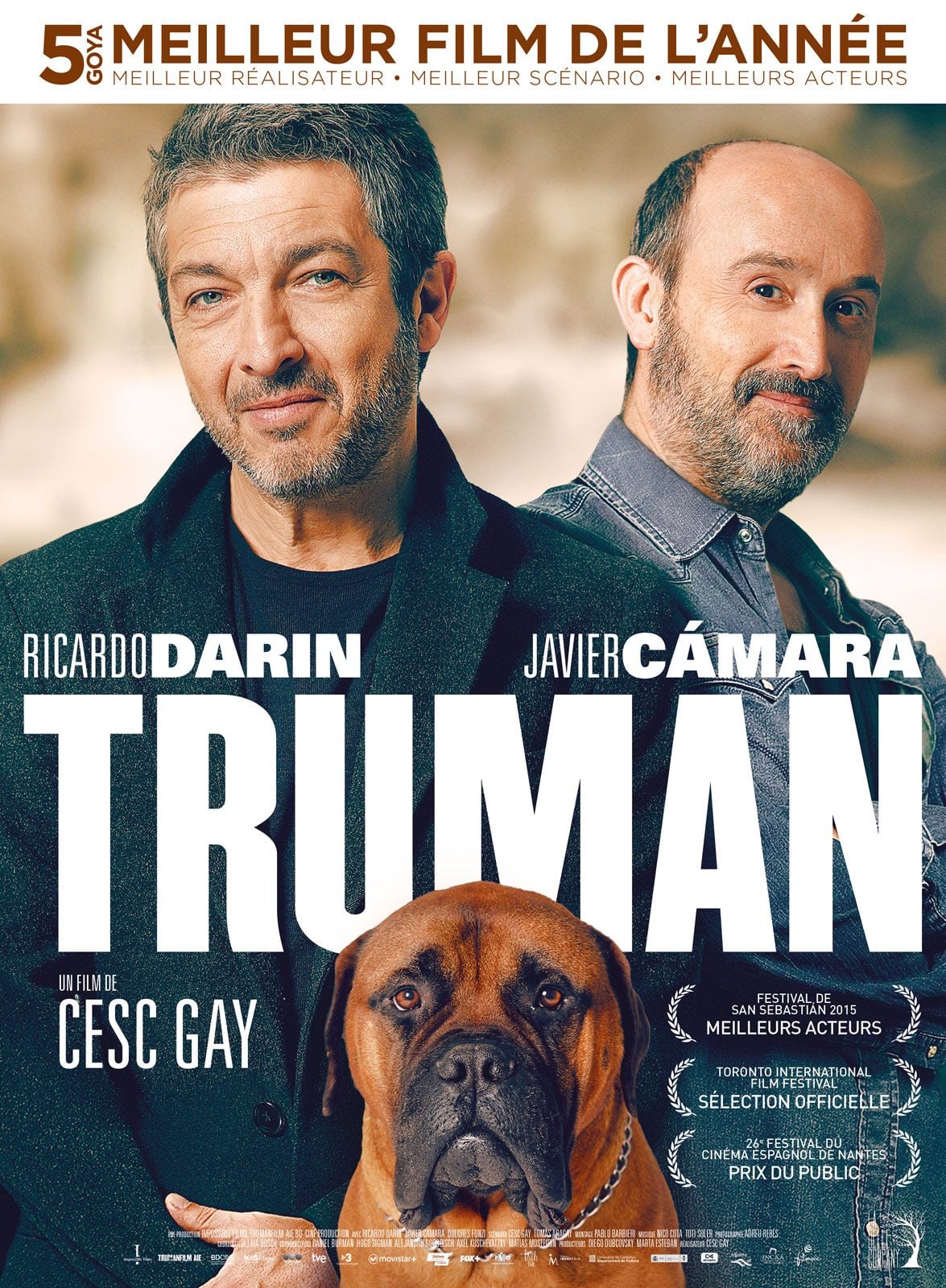 Truman streaming gratuit