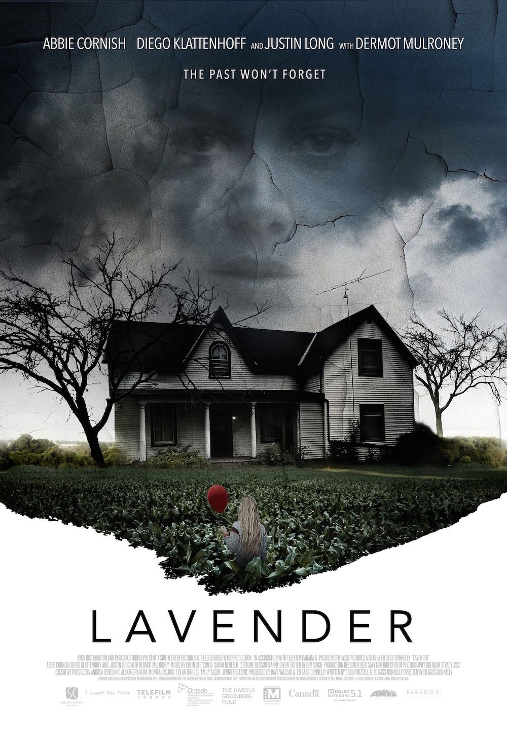 Lavender Lavender
